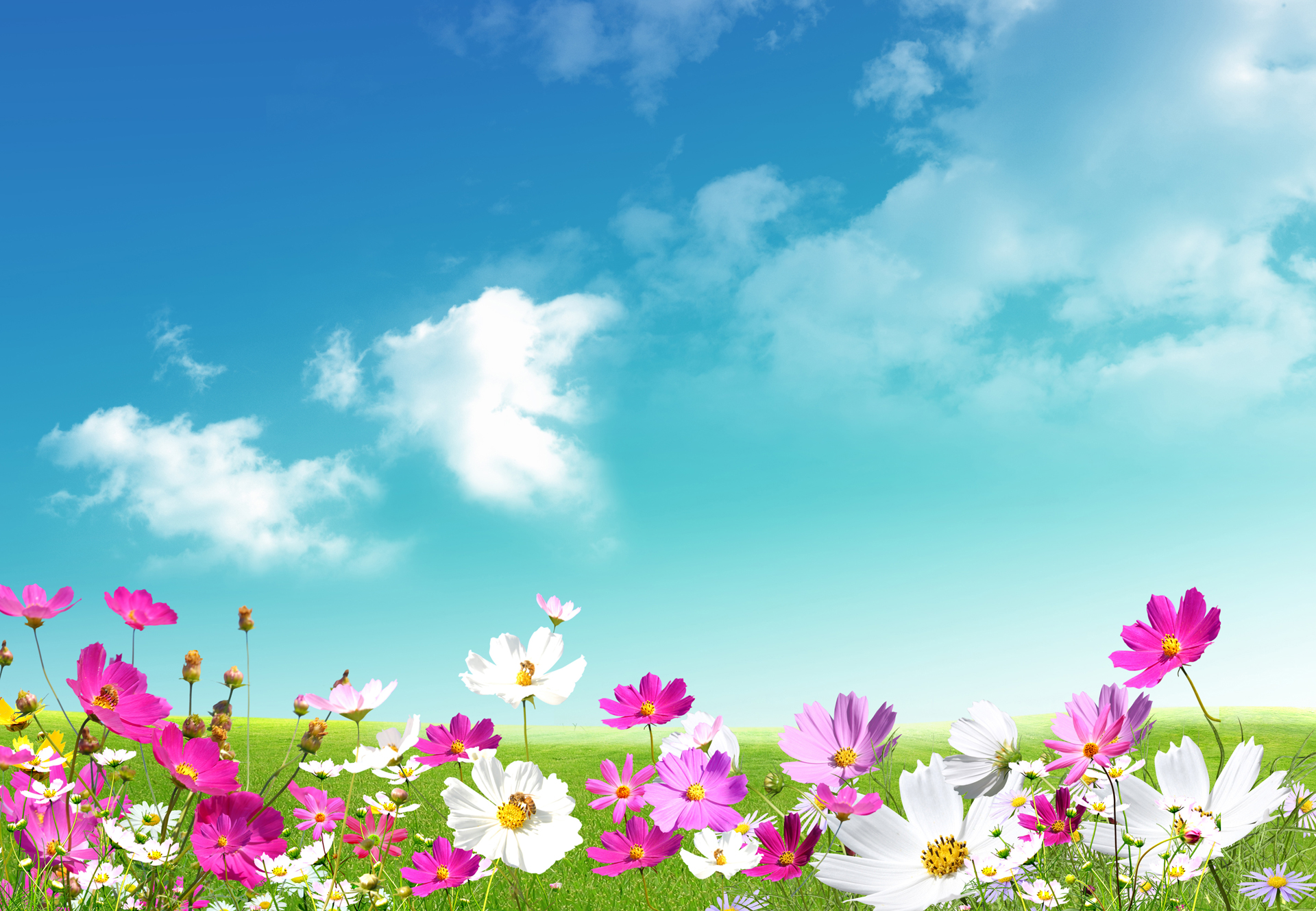 Spring Hd Wallpapers