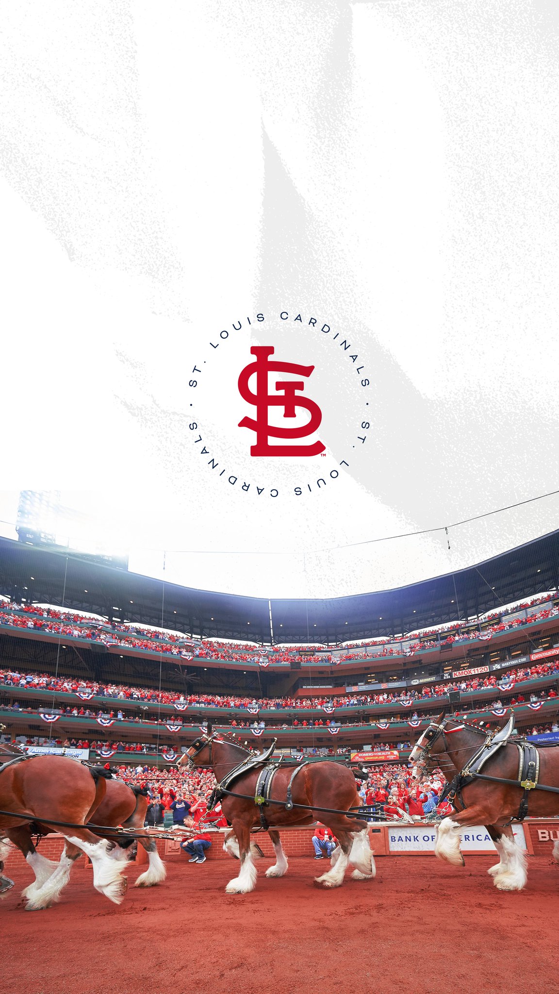 St Louis Cardinals Wallpapers