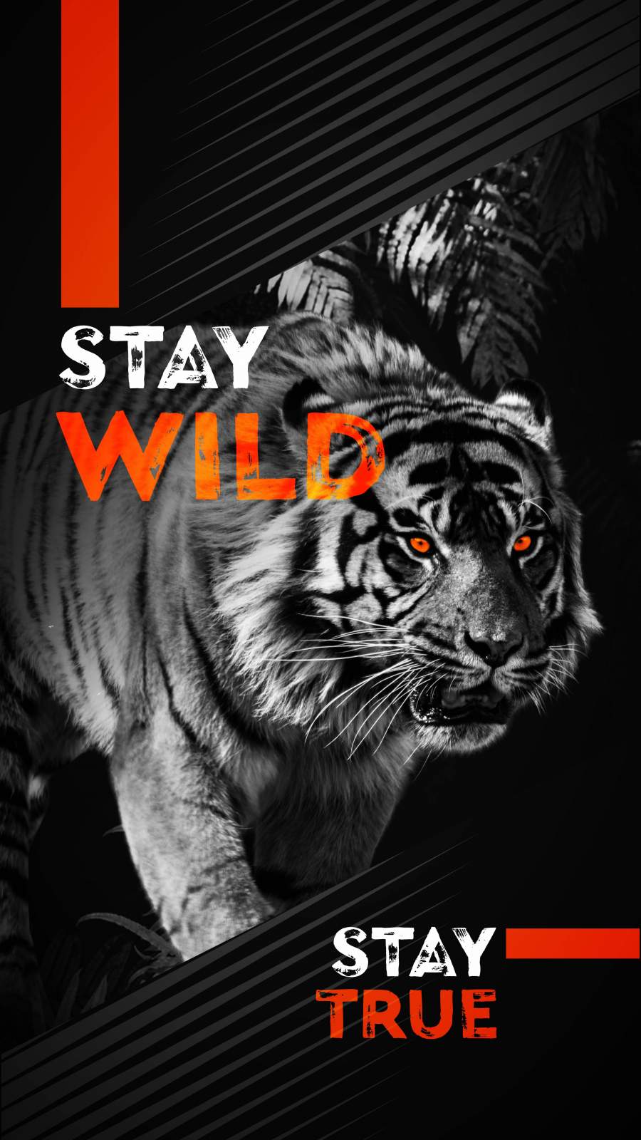 Stay Wild Wallpapers