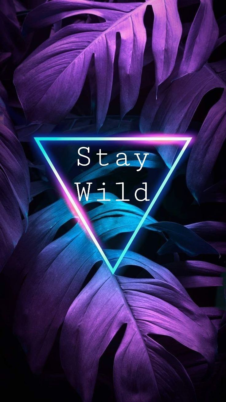 Stay Wild Wallpapers