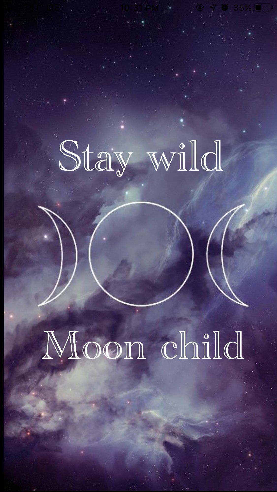 Stay Wild Wallpapers