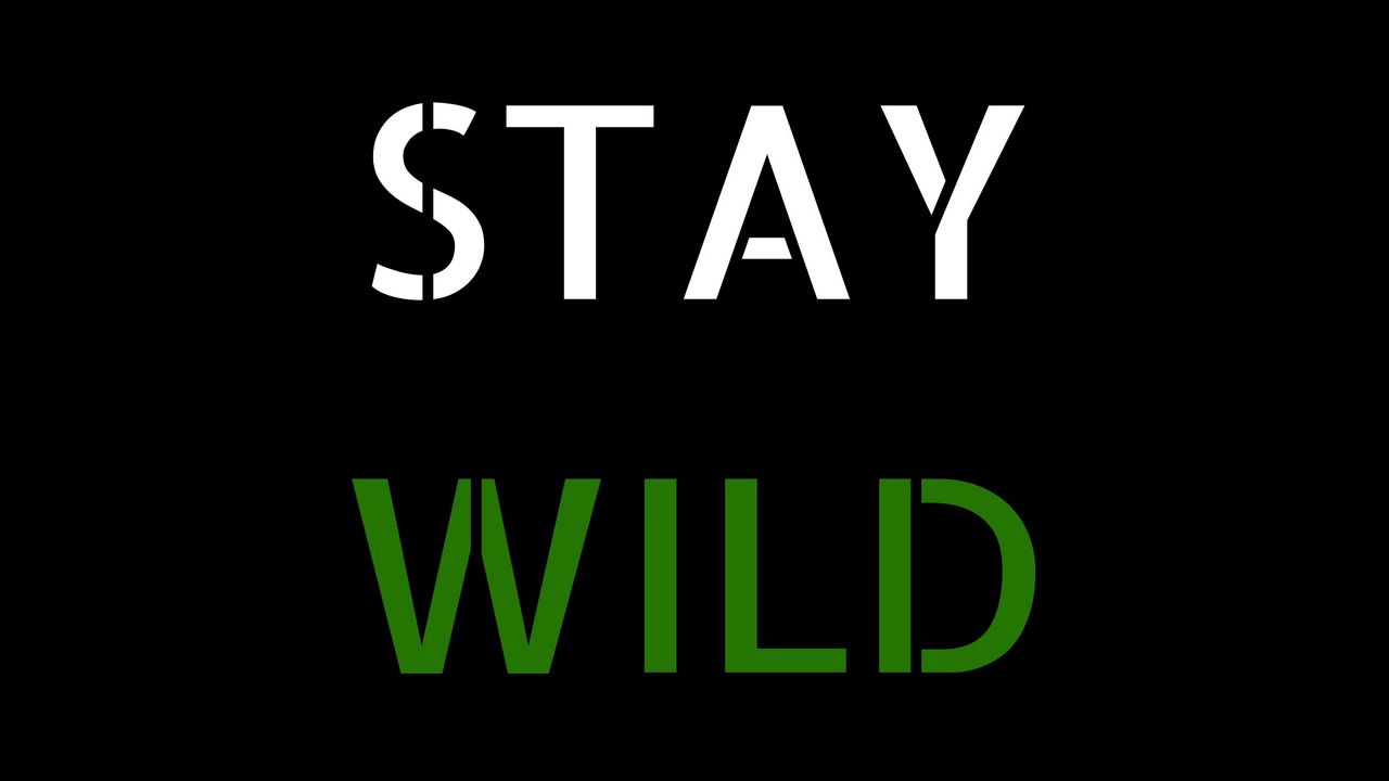 Stay Wild Wallpapers