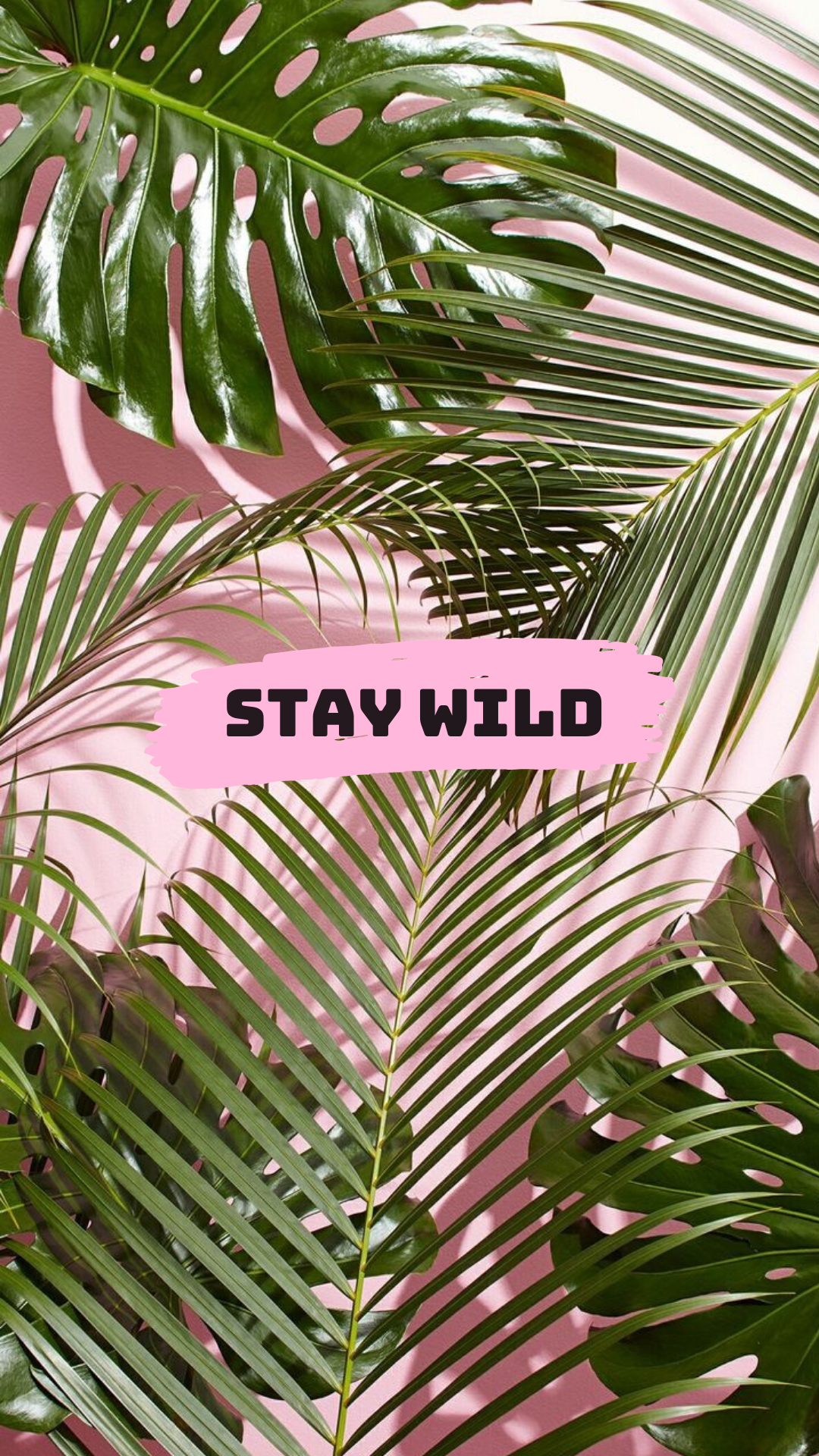 Stay Wild Wallpapers