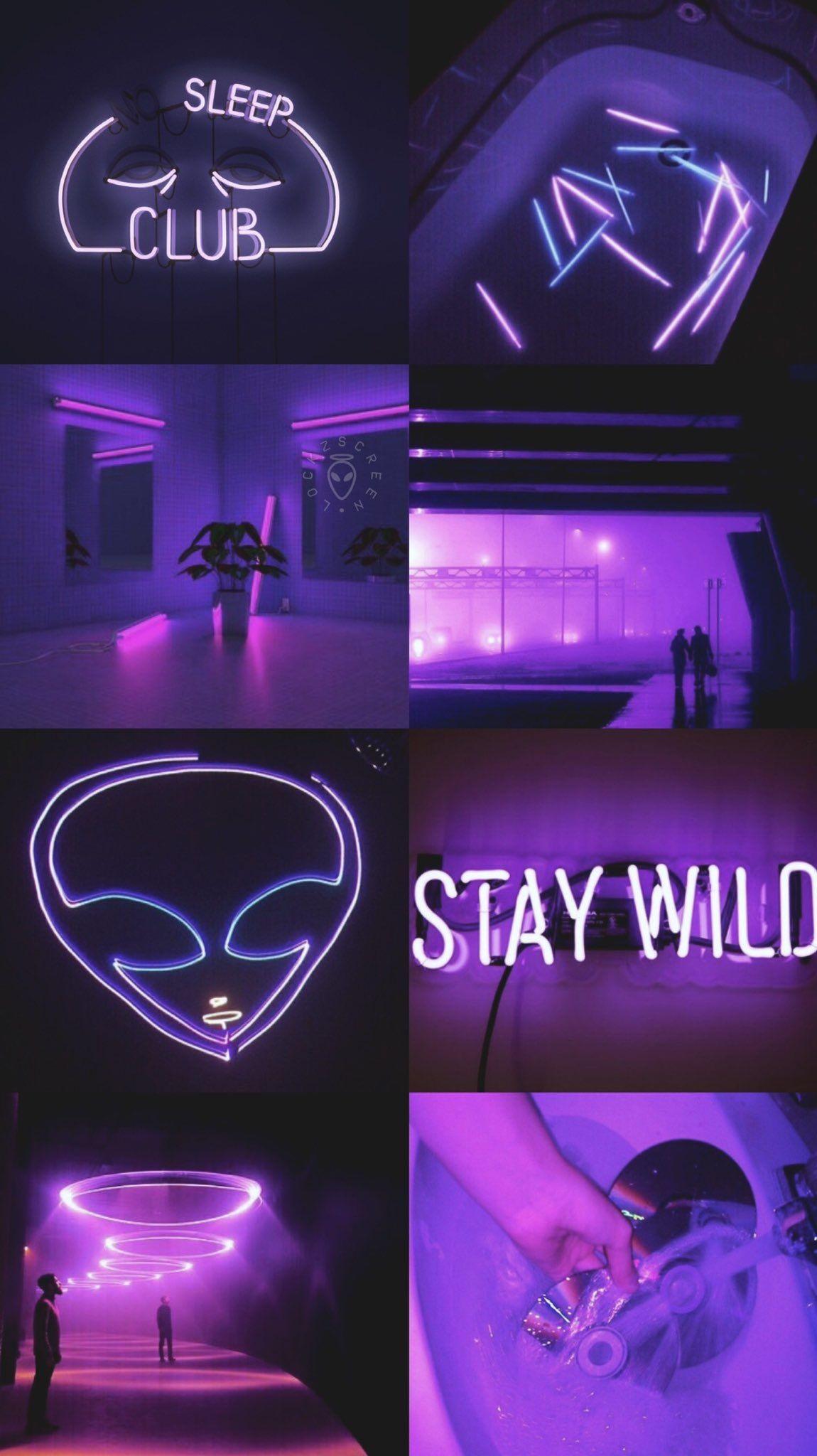 Stay Wild Wallpapers