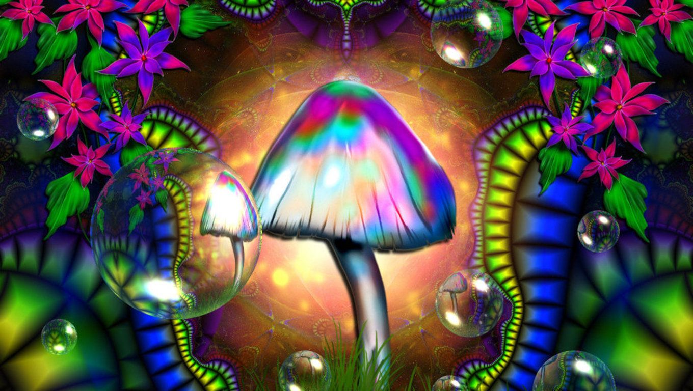 Stoner Trippy Mushroom Wallpapers