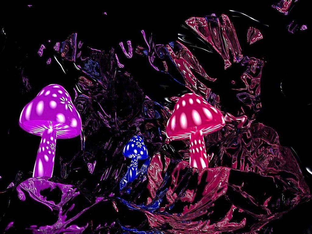 Stoner Trippy Mushroom Wallpapers