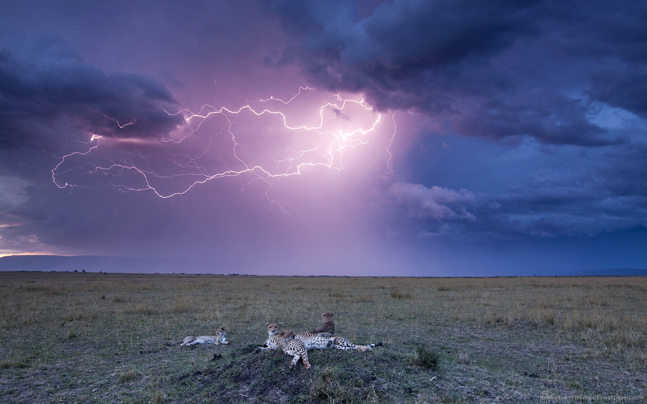 Storms Screensaver Wallpapers