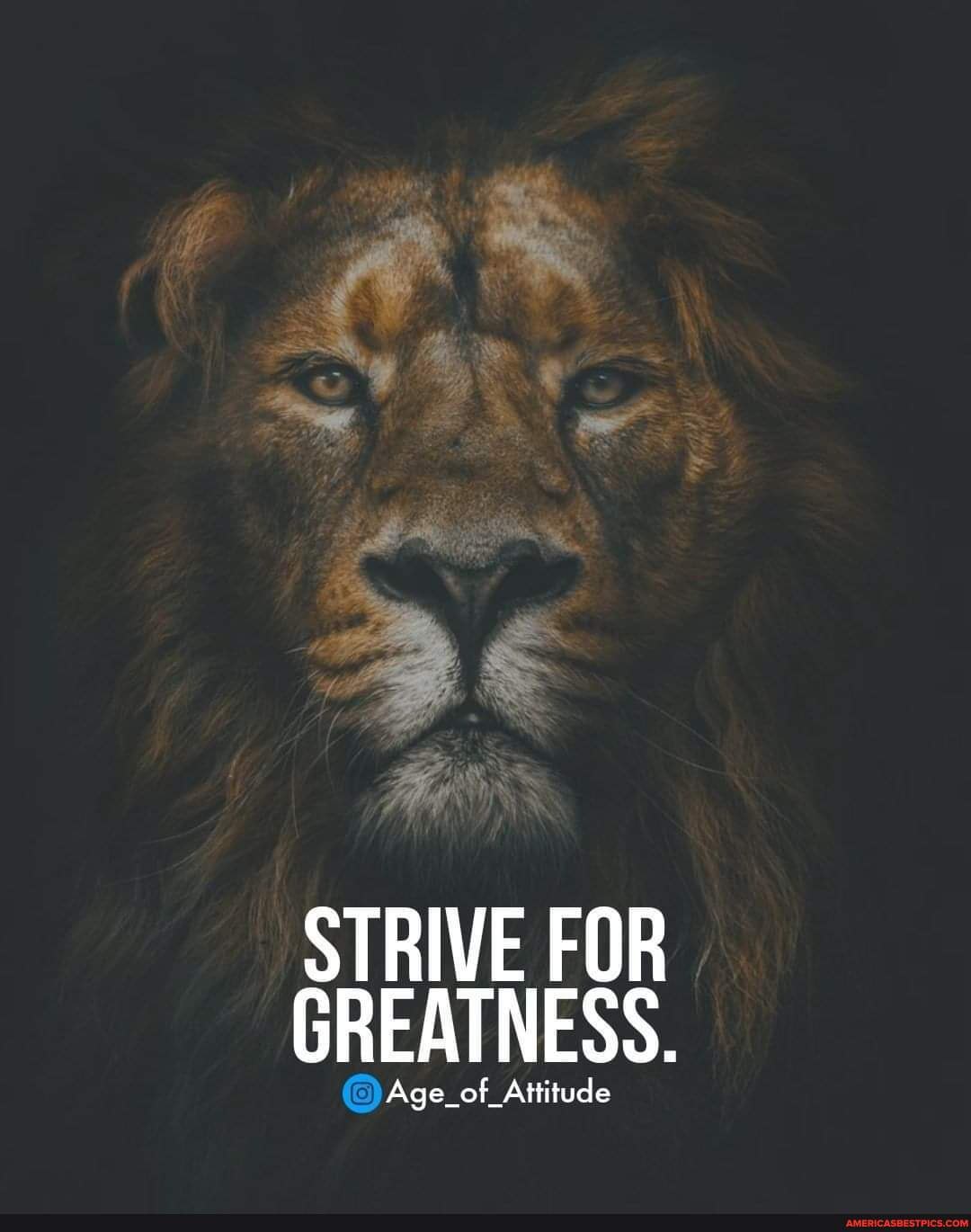 Strive For Greatness Wallpapers