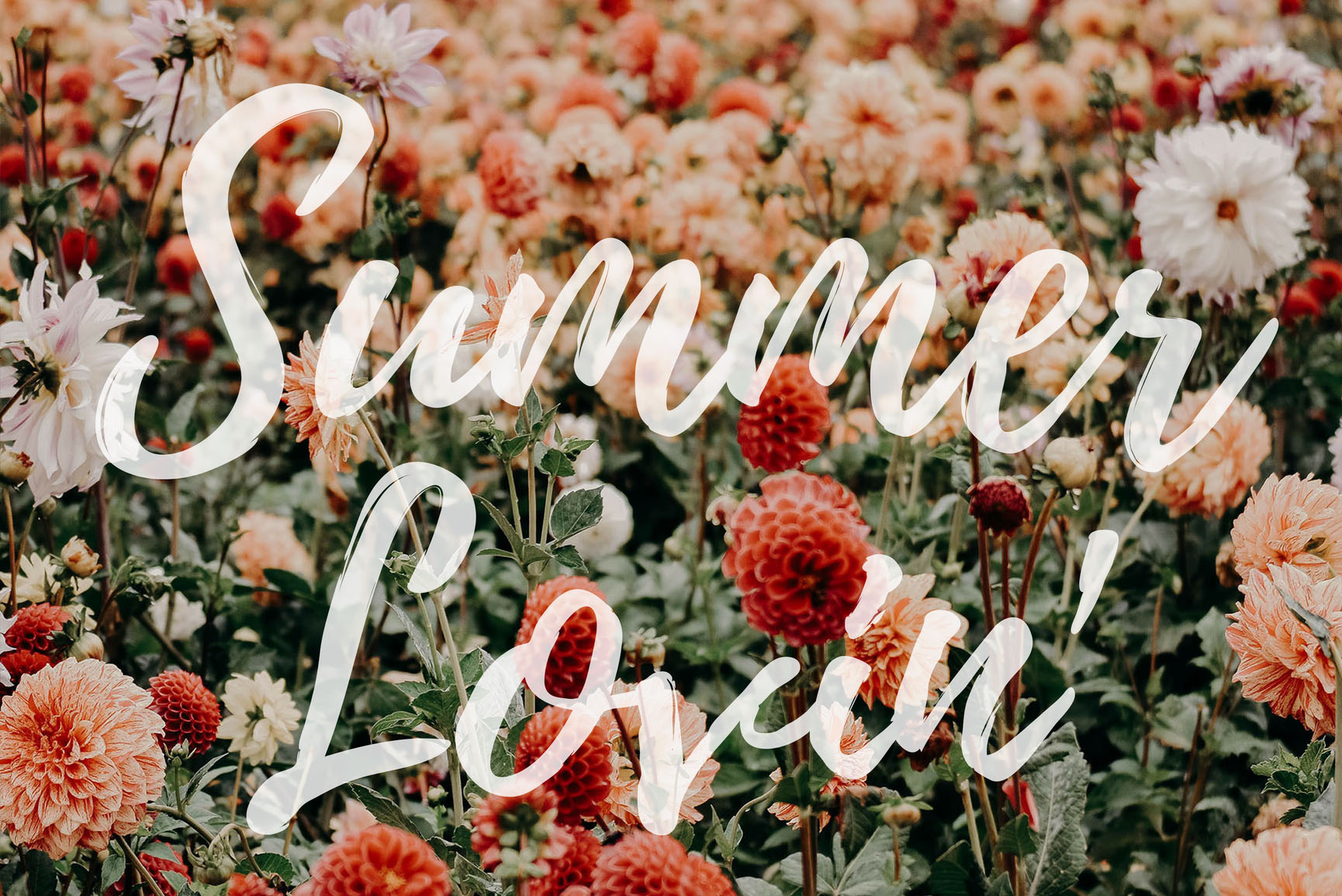 Summer Love Wallpapers