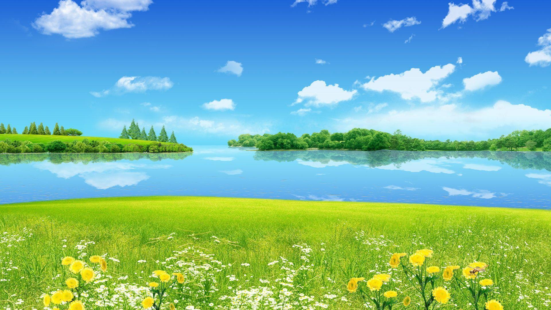 Summer Nature Wallpapers