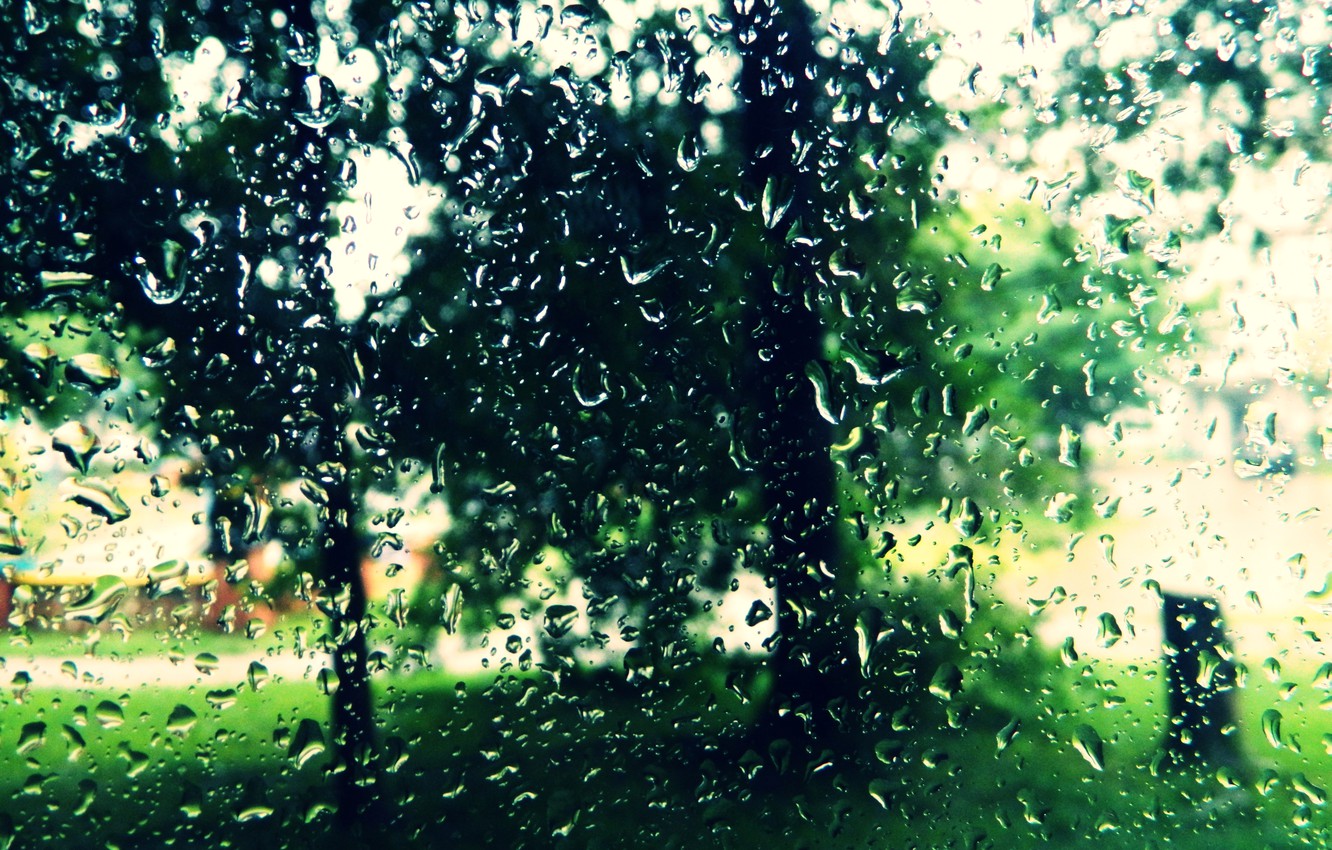 Summer Rain Wallpapers