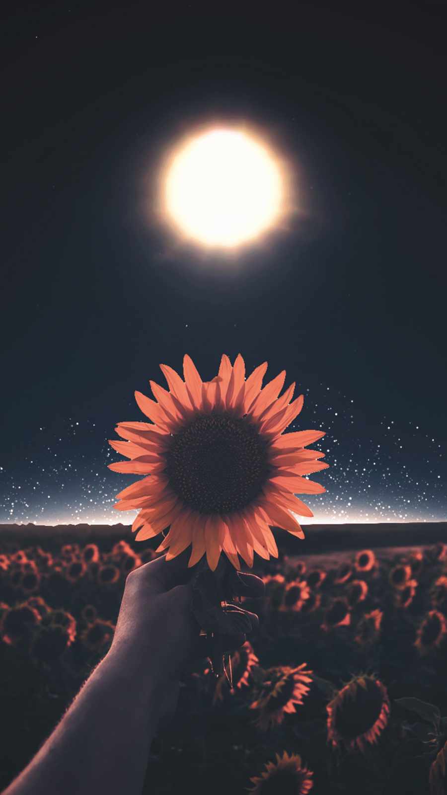 Sun Aesthetic Wallpapers