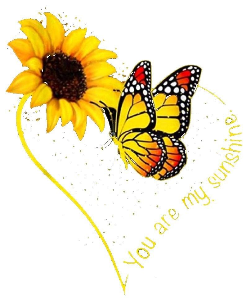 Sunflower And Butterfly Wallpapers