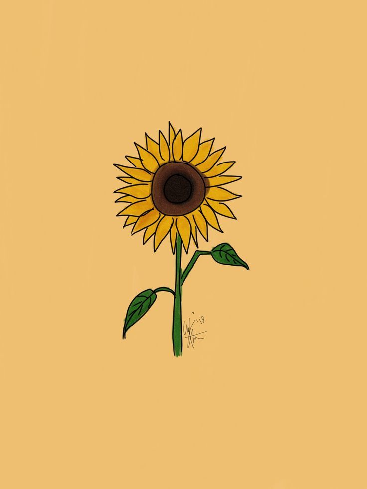 Sunflower Art Wallpapers