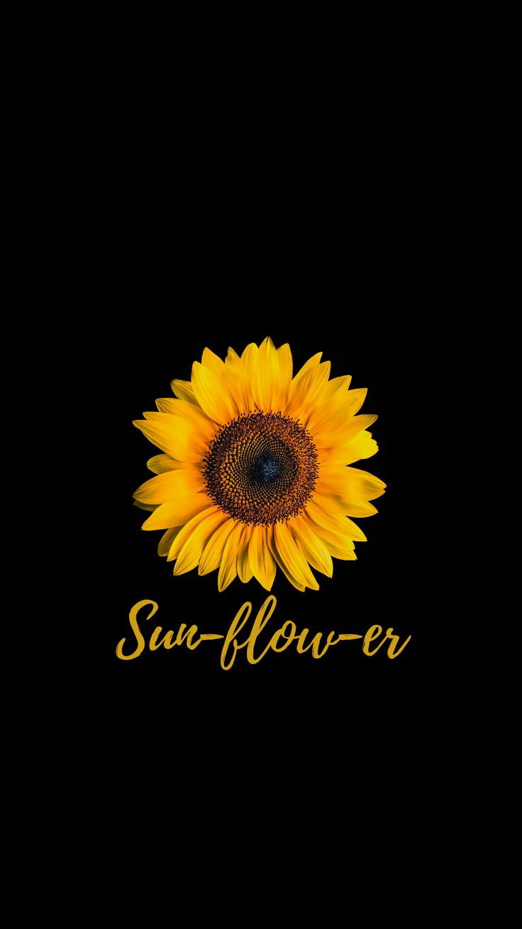 Sunflower Art Wallpapers