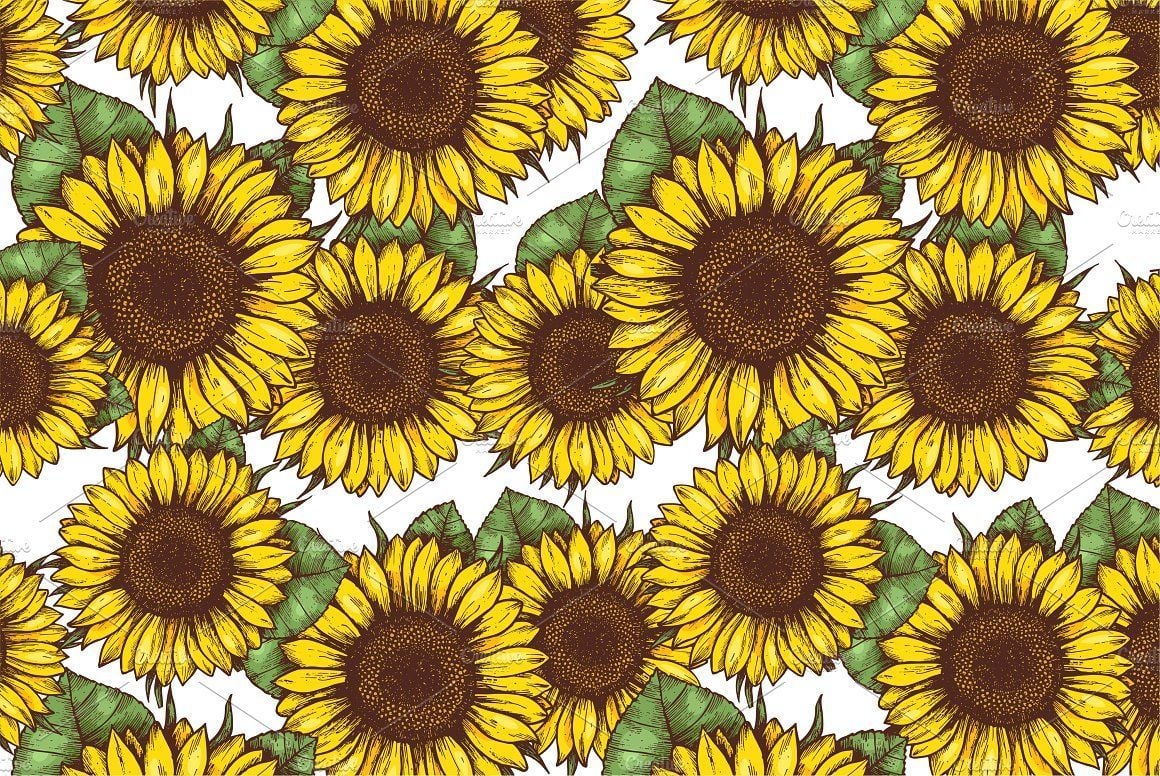 Sunflower Art Wallpapers