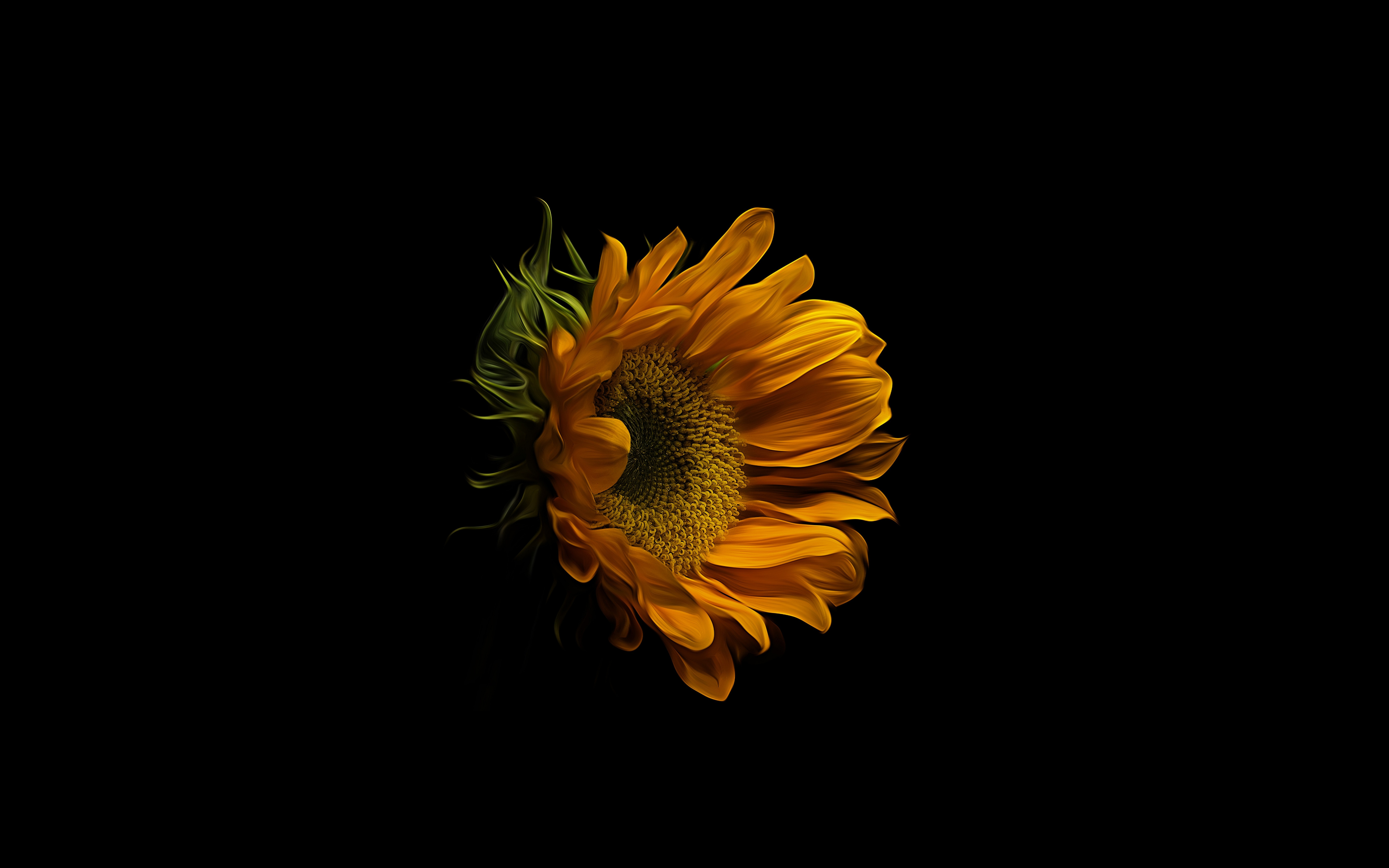 Sunflower 4K Wallpapers