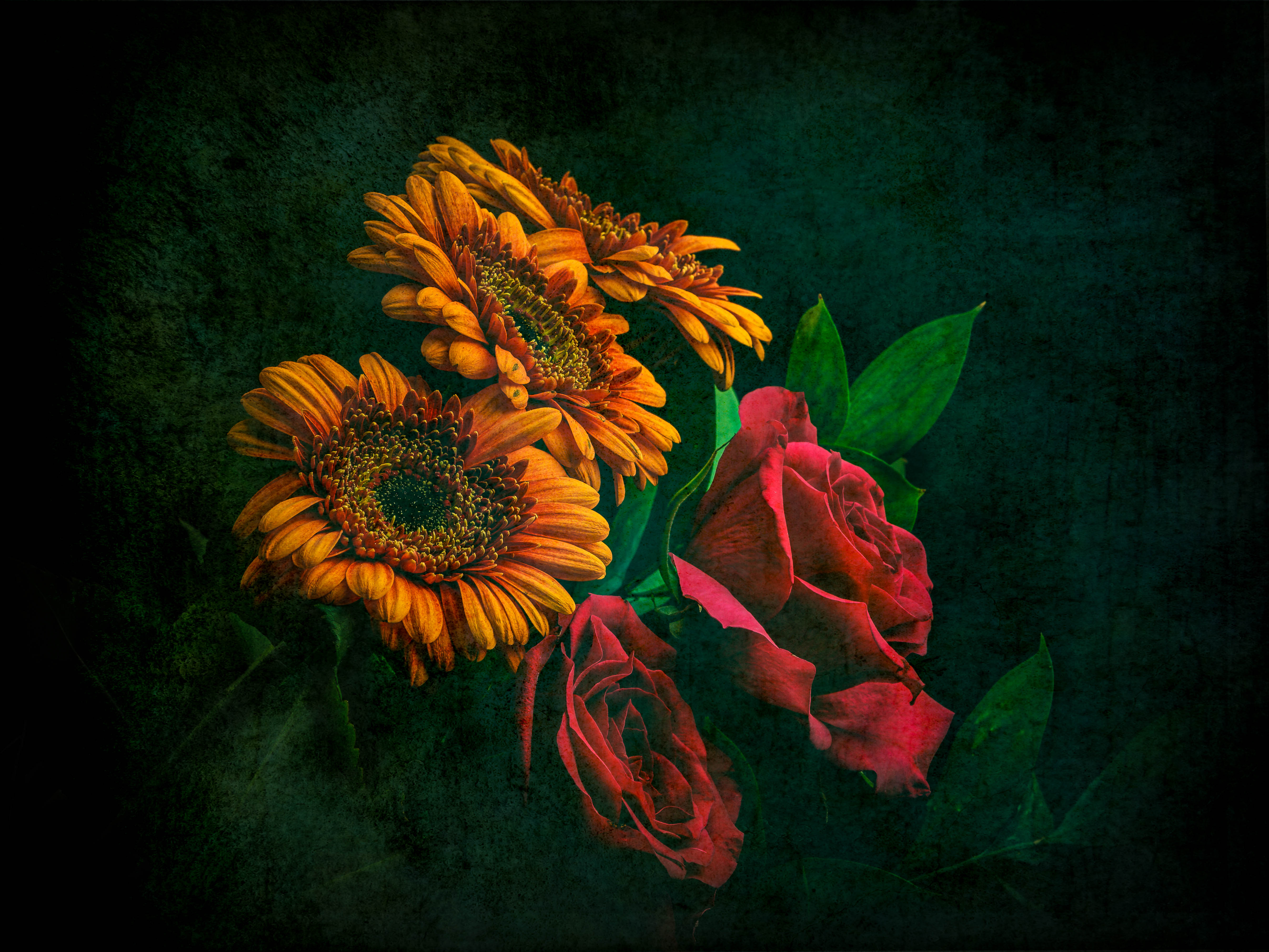 Sunflowers And Roses Wallpapers