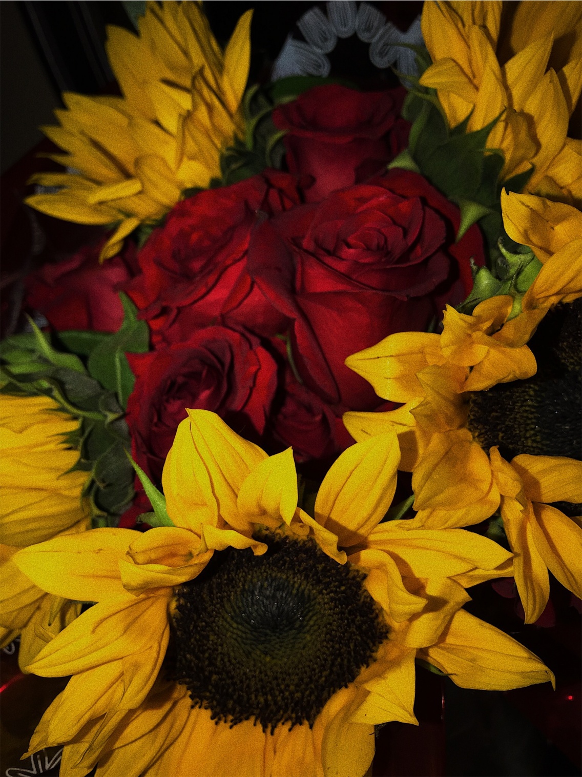 Sunflowers And Roses Wallpapers