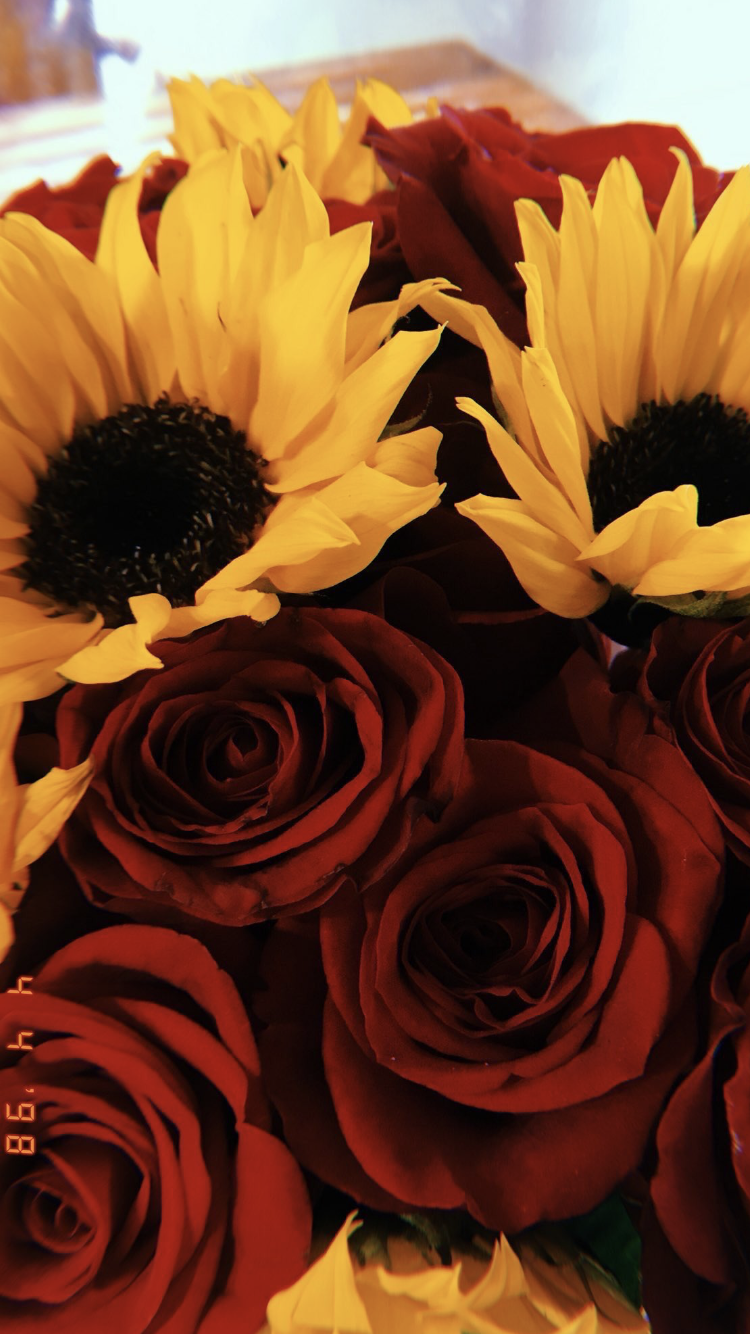 Sunflowers And Roses Wallpapers