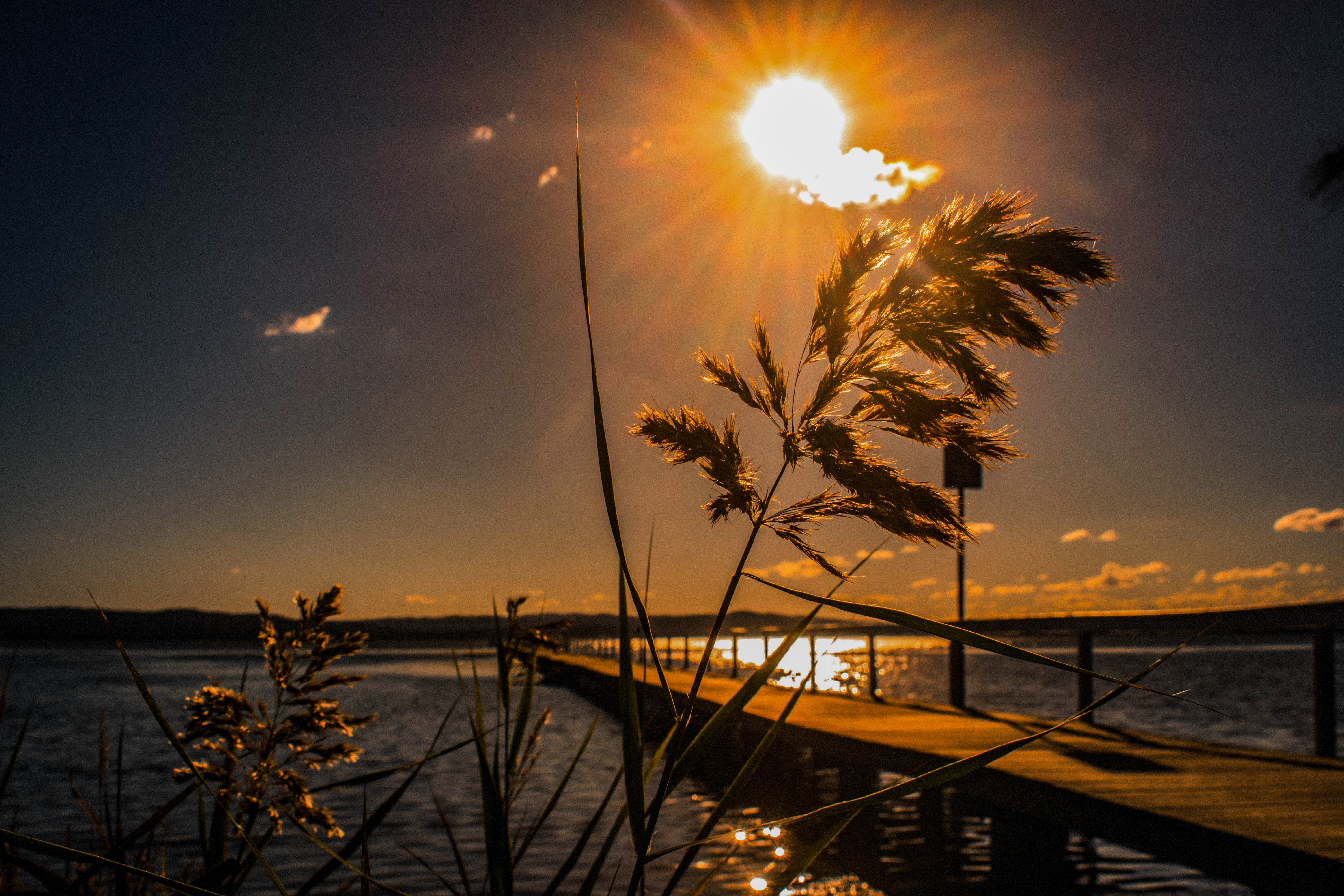 Sunset Boardwalk Wallpapers