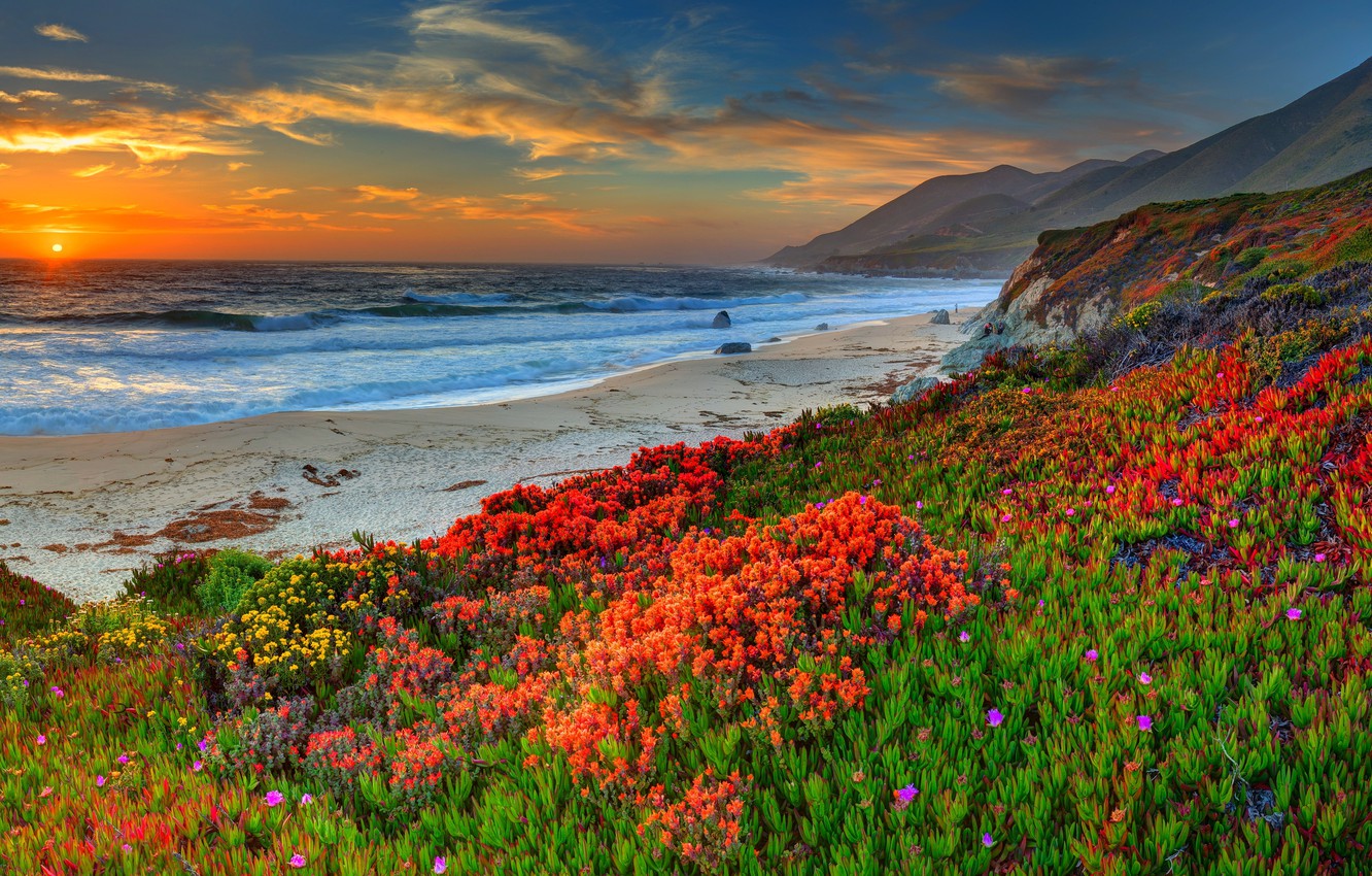 Sunset Ocean Beach Wallpapers