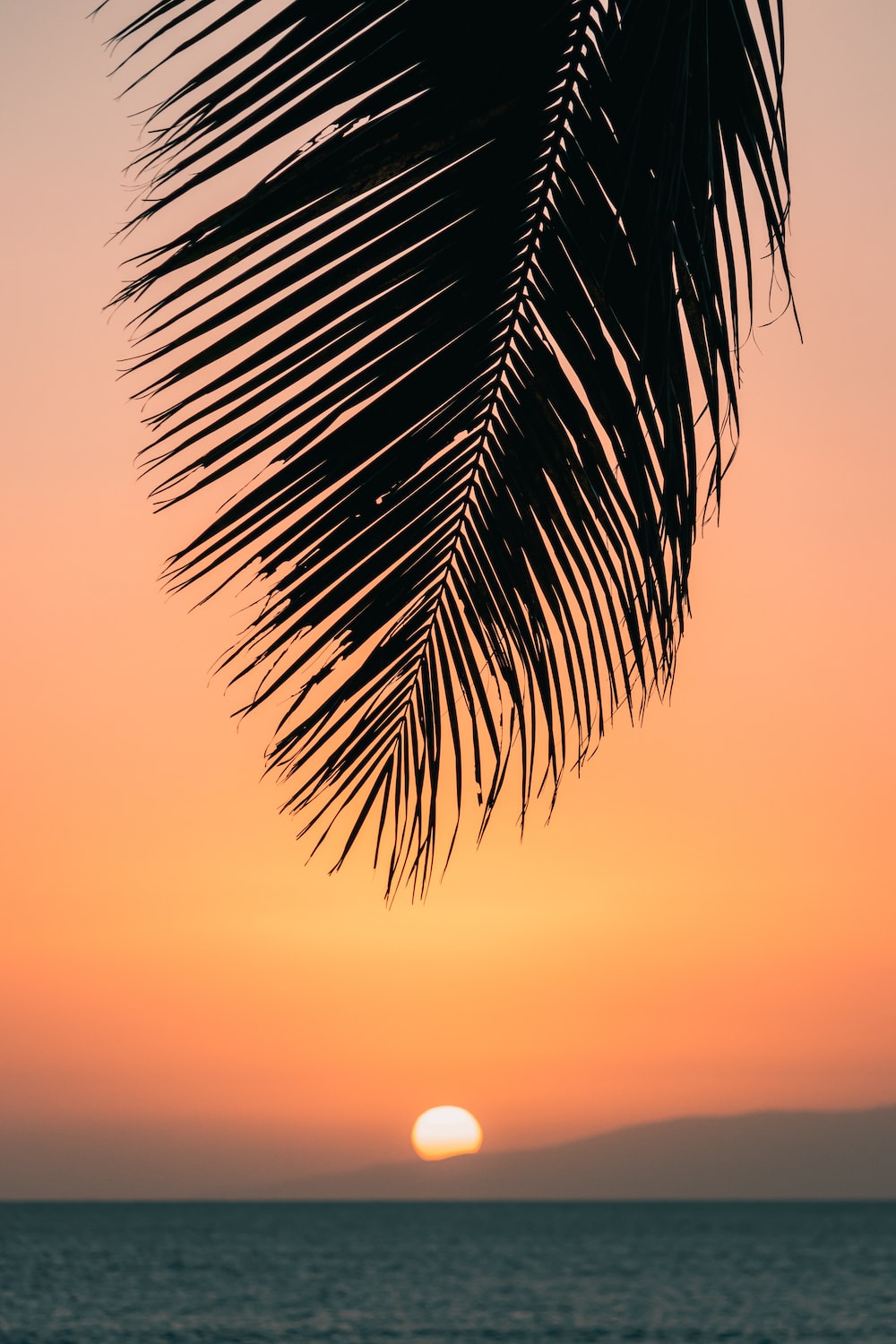 Sunset Ocean Hawaii Wallpapers