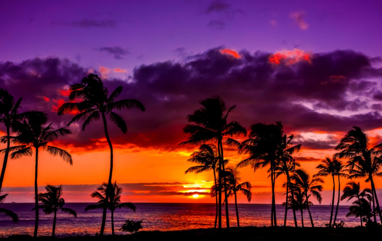 Sunset Hawaii Wallpapers