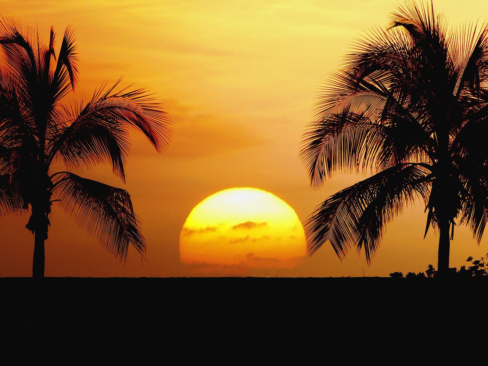 Sunset Hawaii Wallpapers