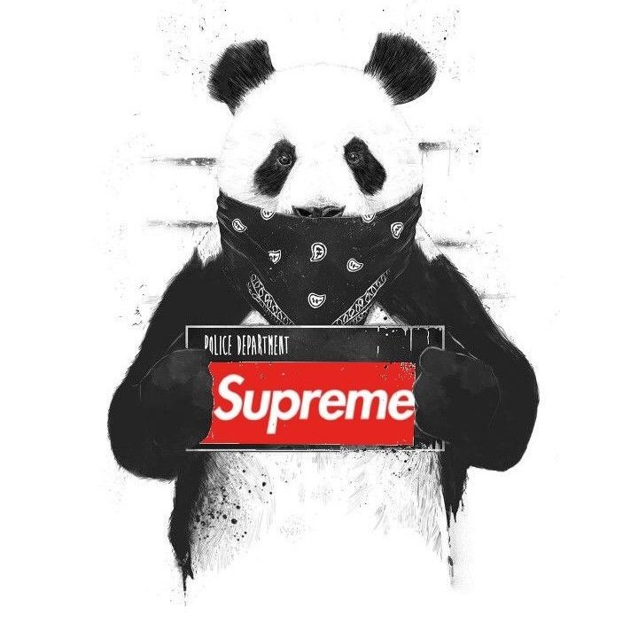 Supreme Panda Wallpapers