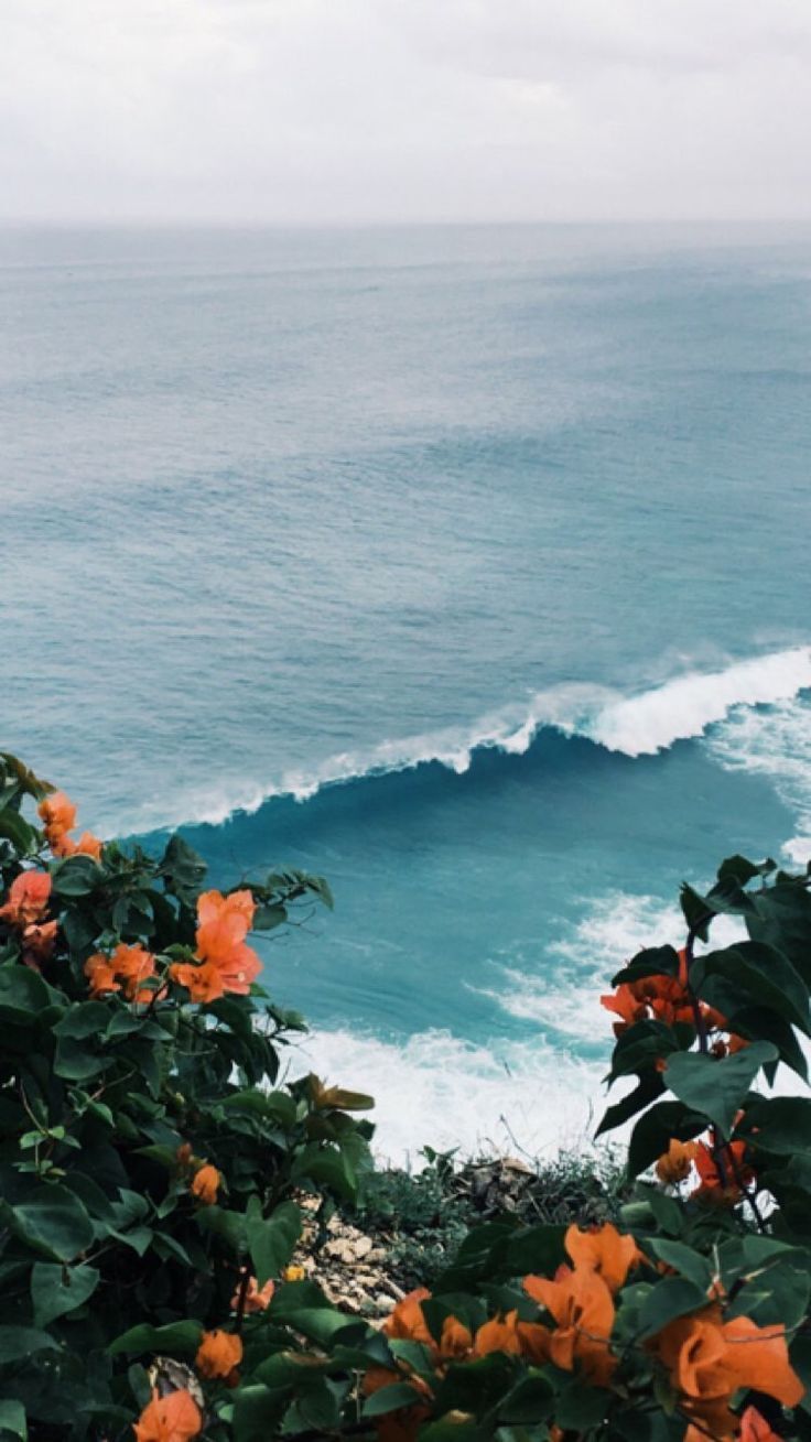 Surfing Aesthetic Wallpapers