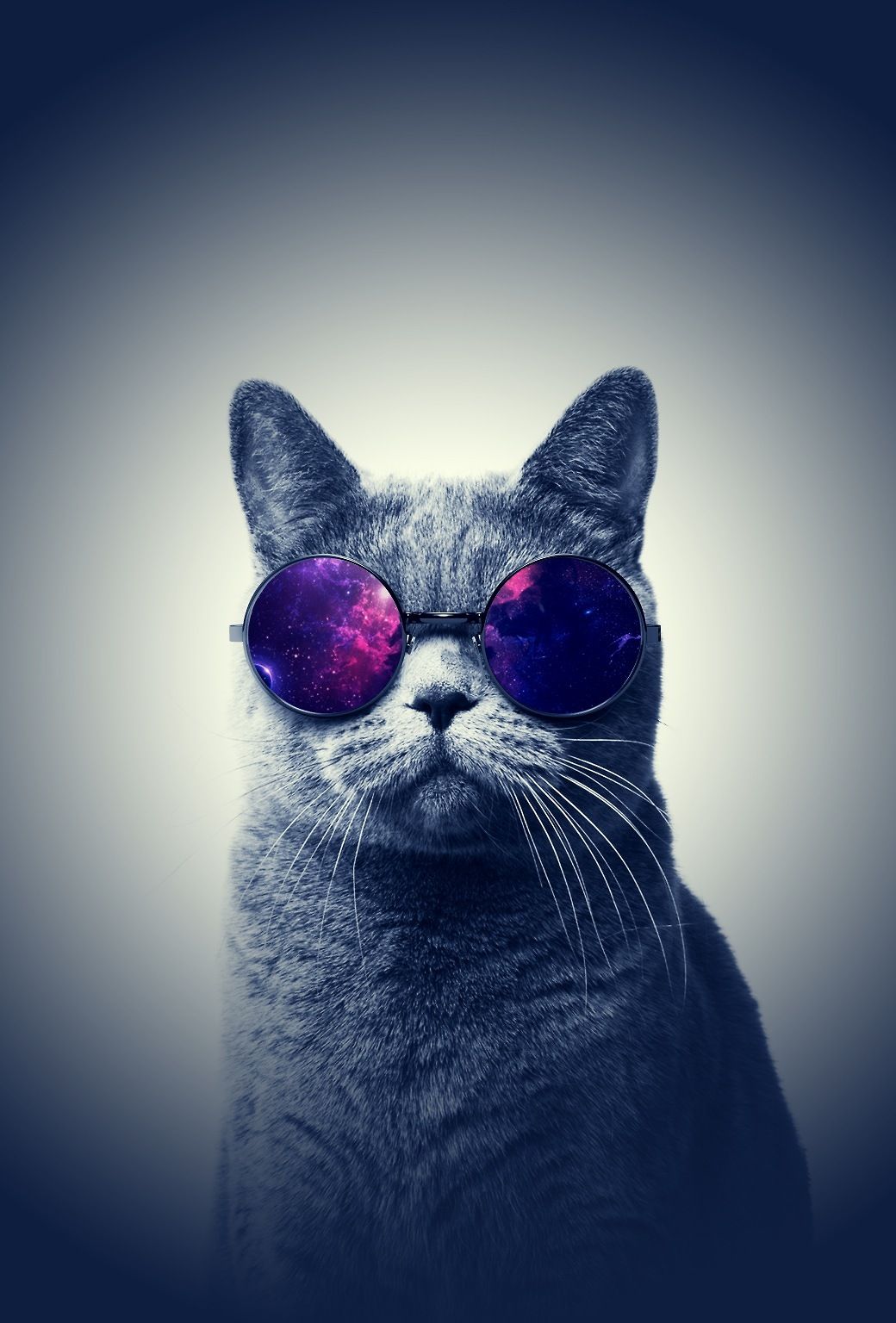 Swag Cats Wallpapers