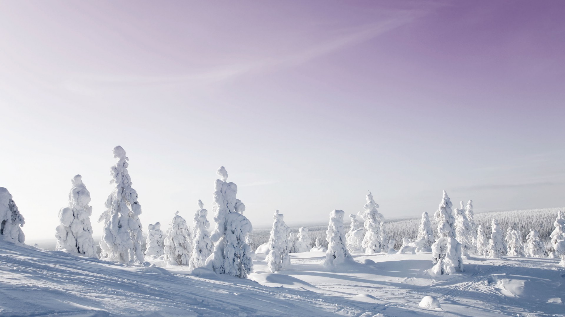 Sweden Snow Wallpapers