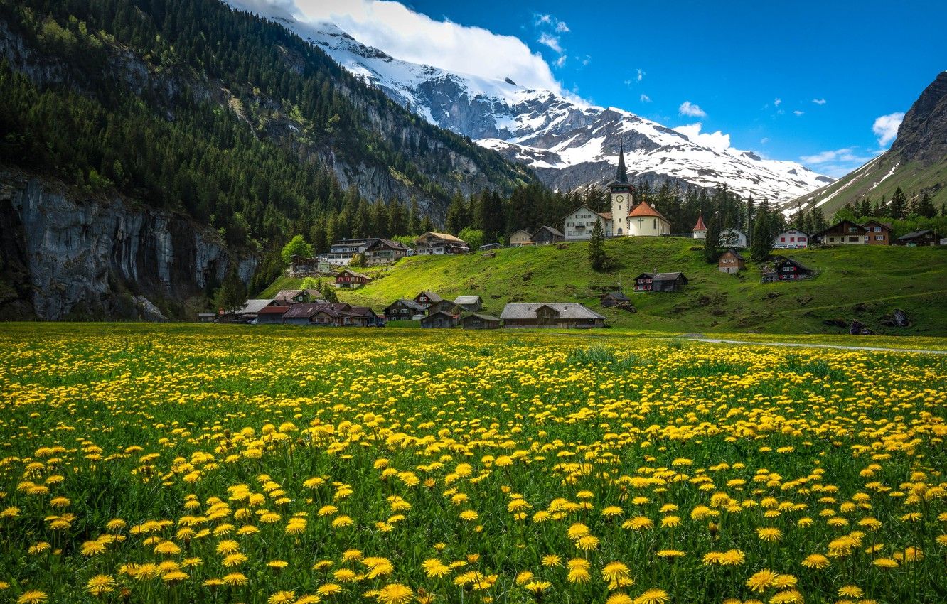 Switzerland Flower Garden Wallpapers