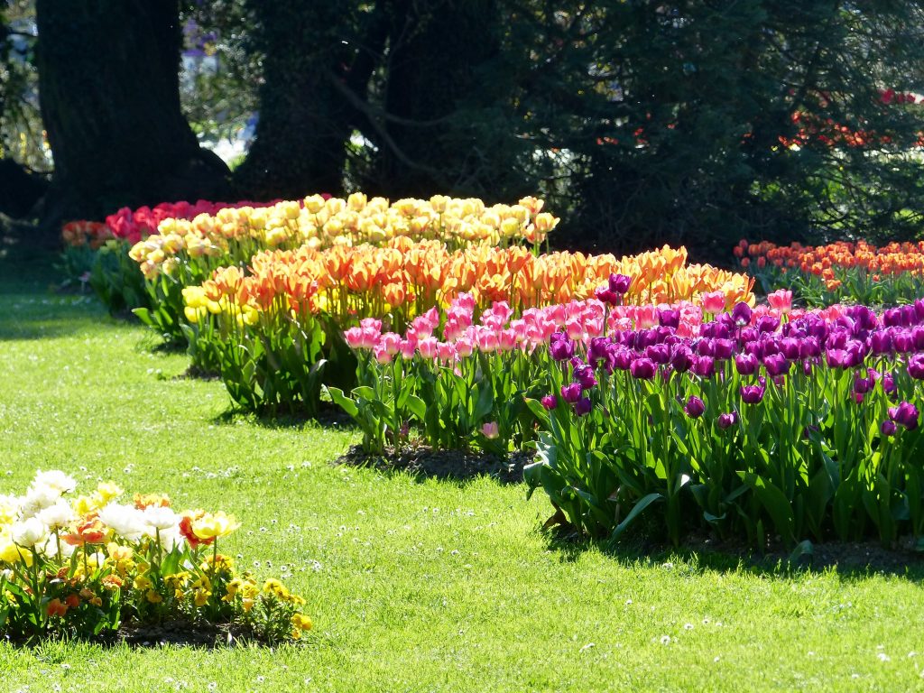 Switzerland Flower Garden Wallpapers