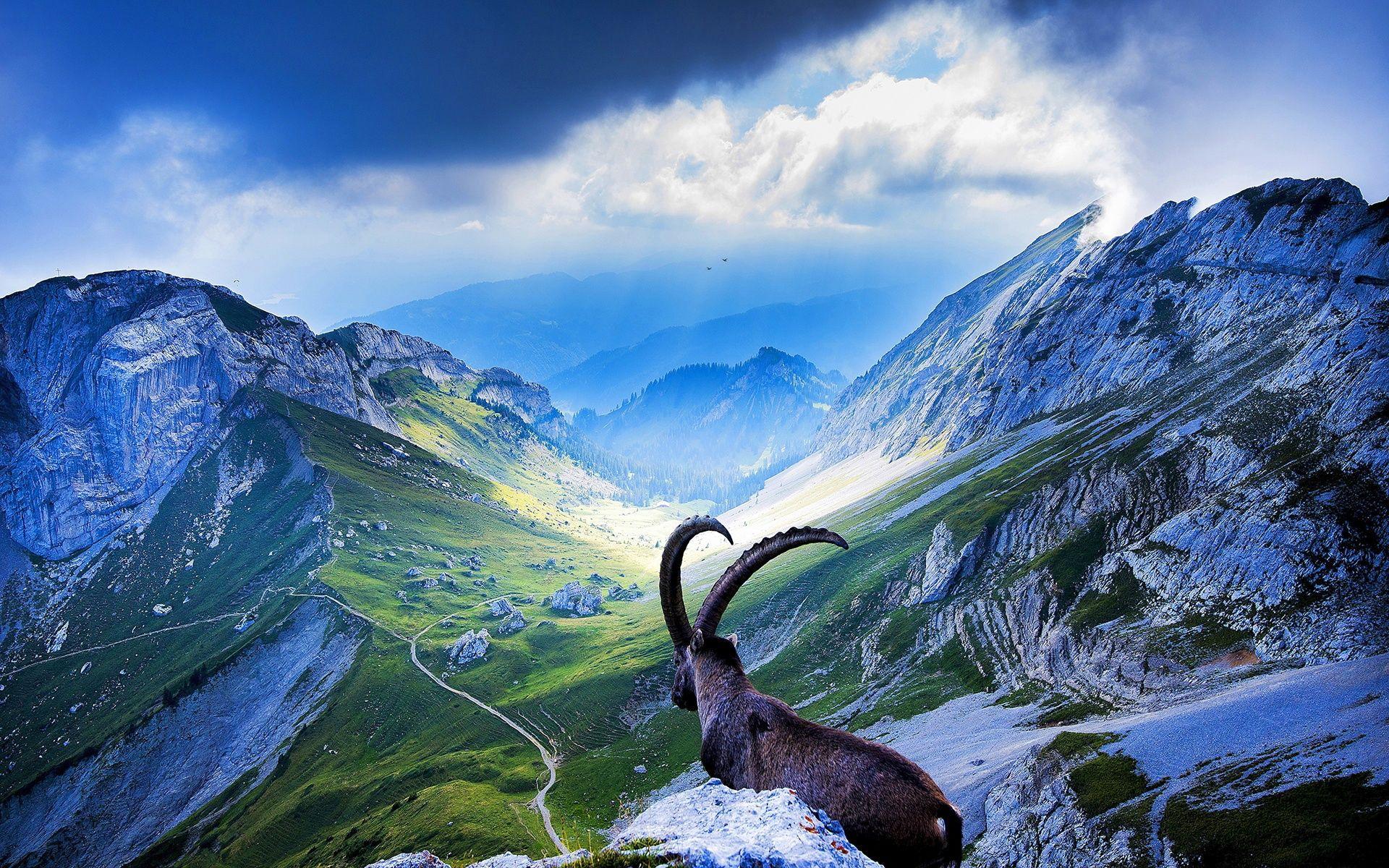 Switzerland Landscape Wallpapers