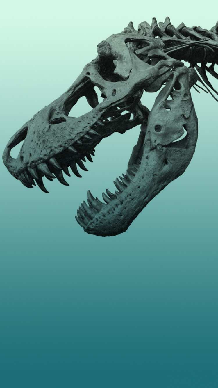 T Rex Iphone Wallpapers