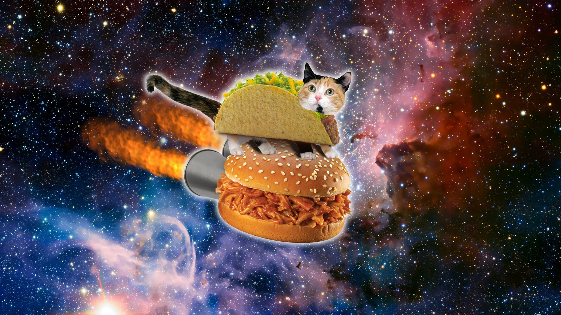 Taco Cat Wallpapers