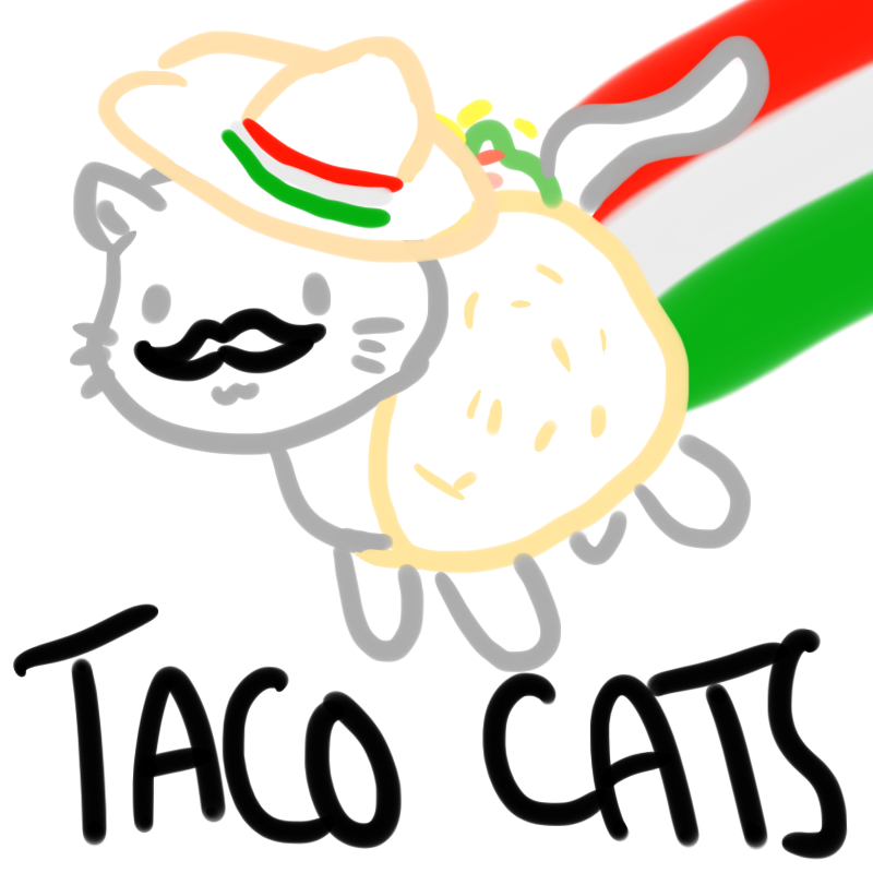 Taco Cat Wallpapers