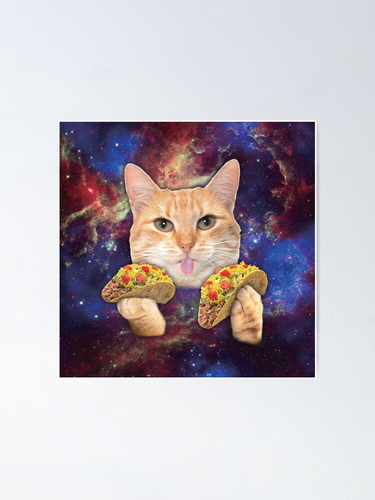 Taco Cat Wallpapers