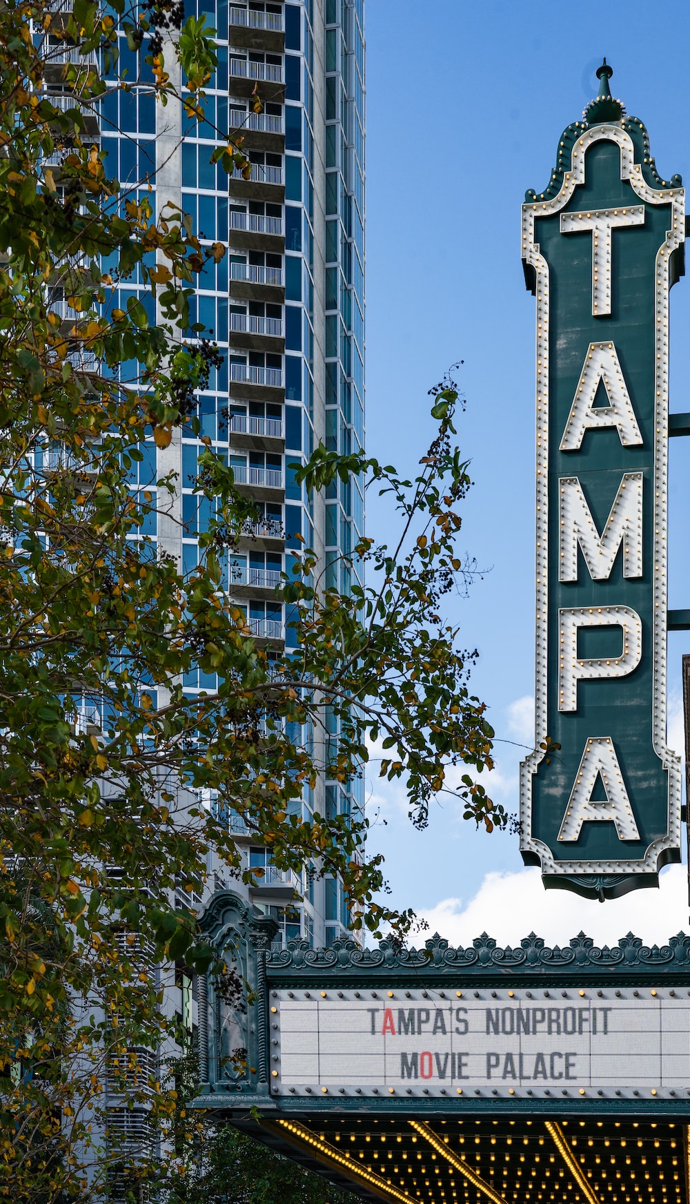 Tampa Florida Wallpapers