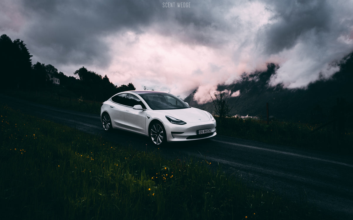 Tesla Model 3 White Wallpapers