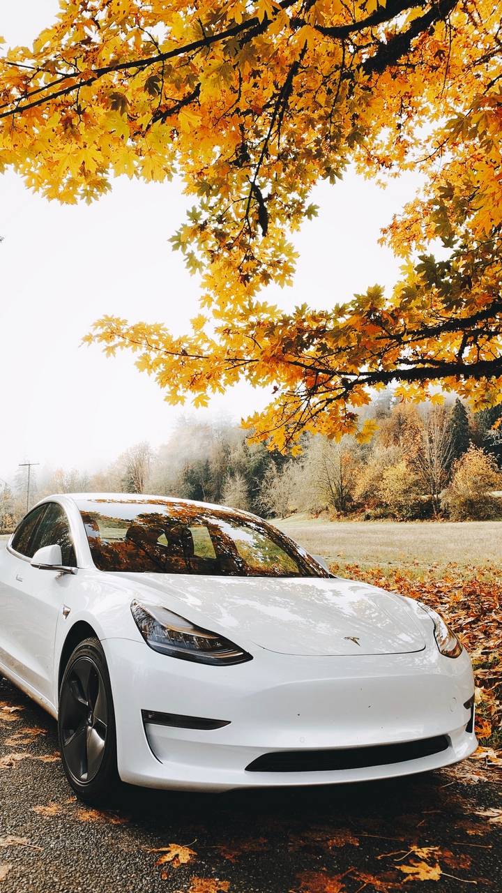 Tesla Model X Iphone Wallpapers