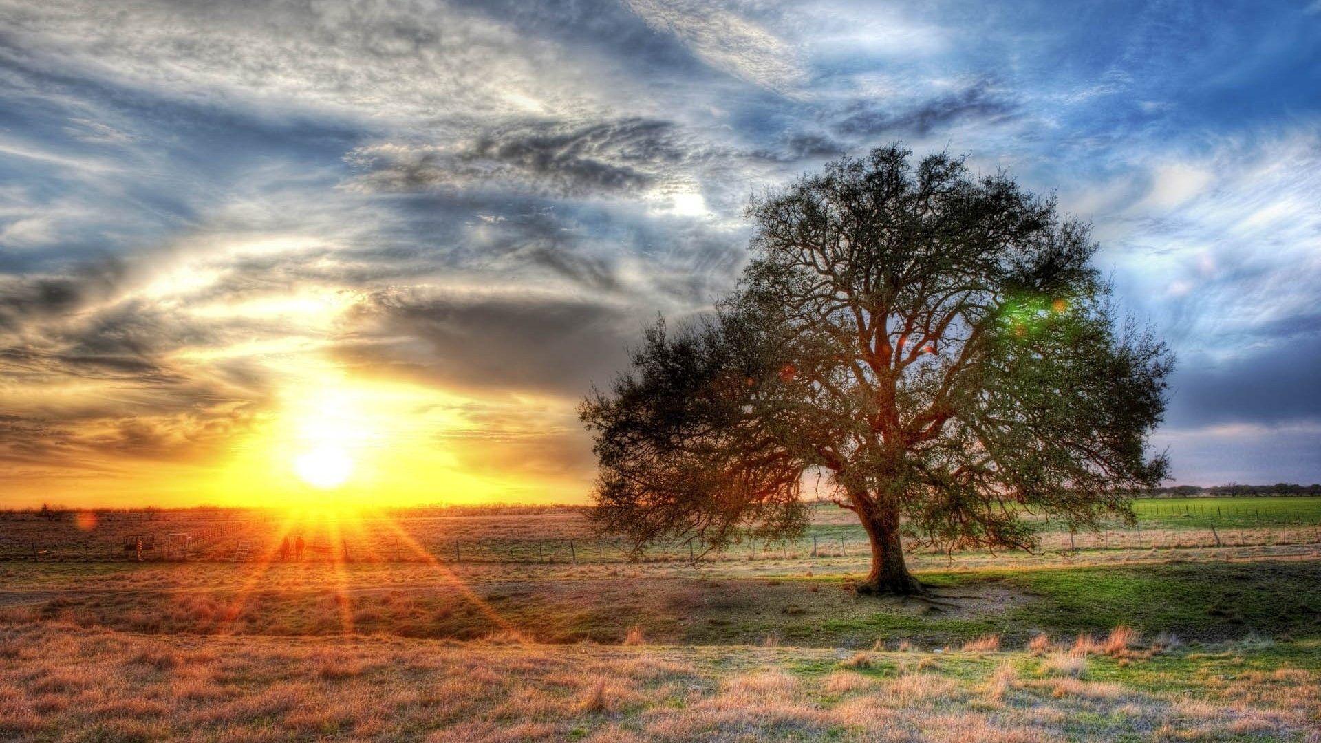 Texas Landscape Wallpapers