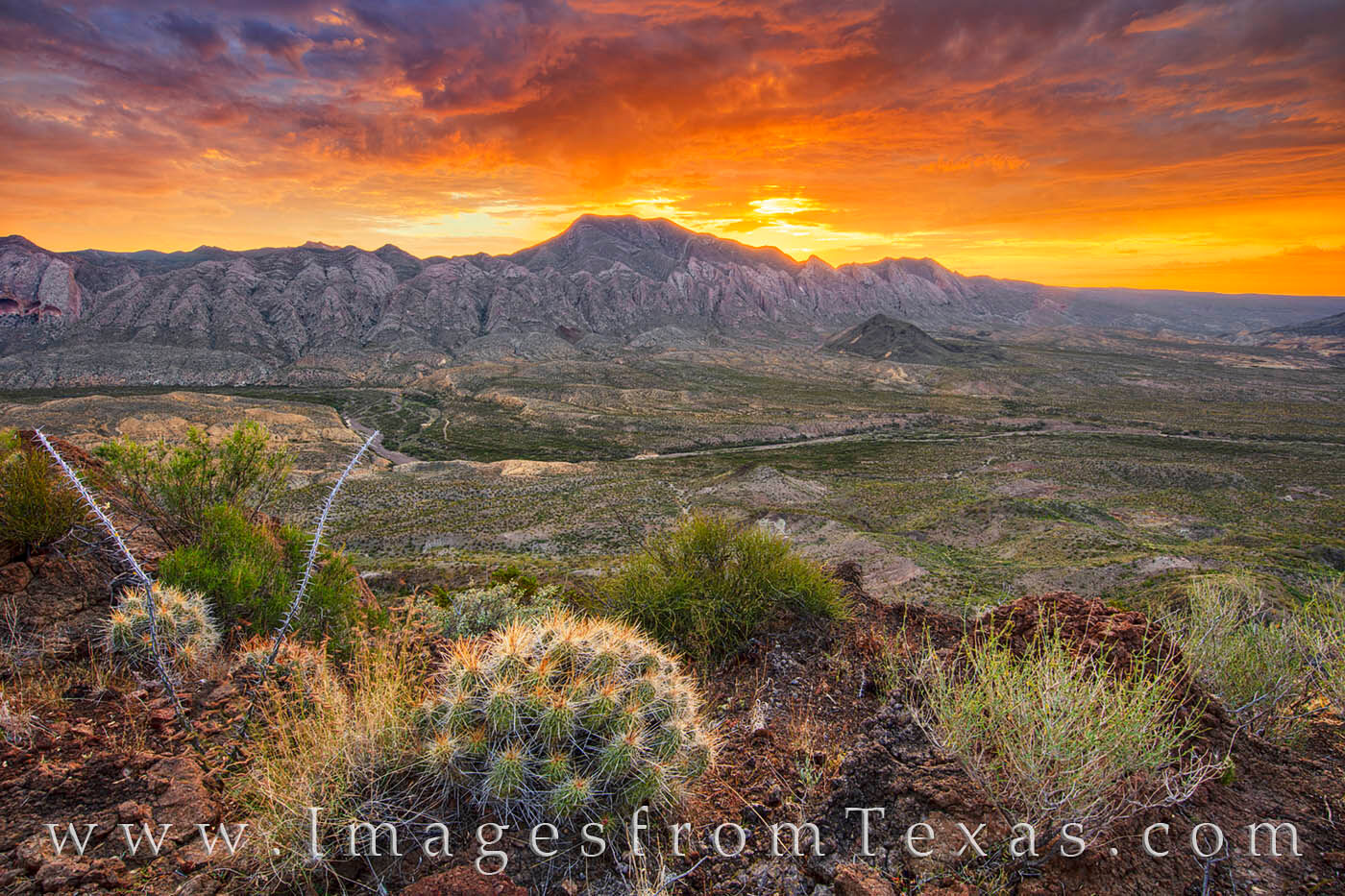 Texas Landscape Wallpapers