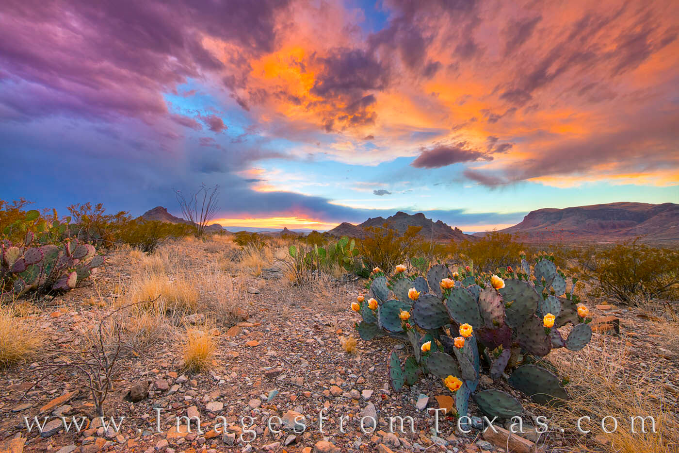 Texas Landscape Wallpapers