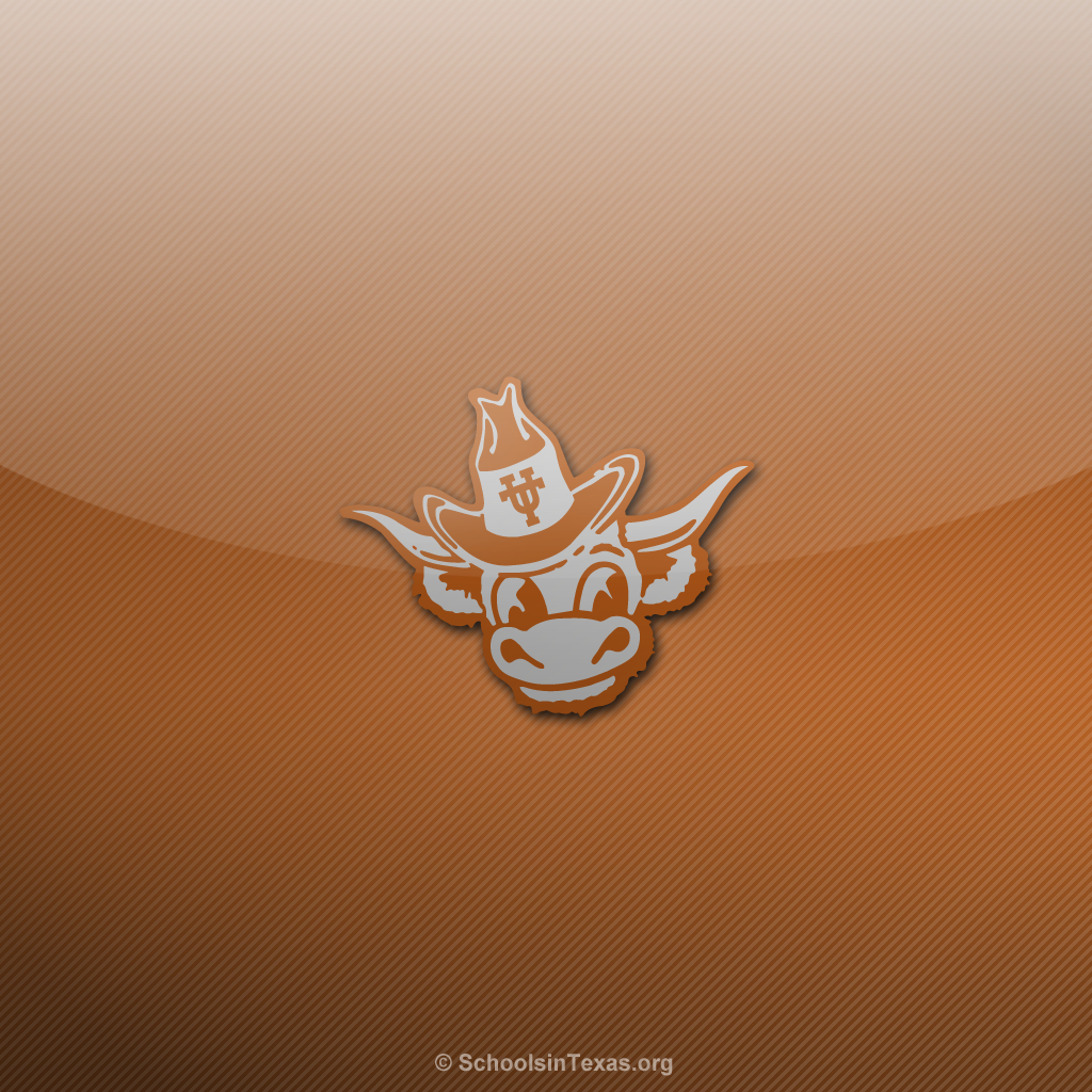 Texas Longhorns Wallpapers