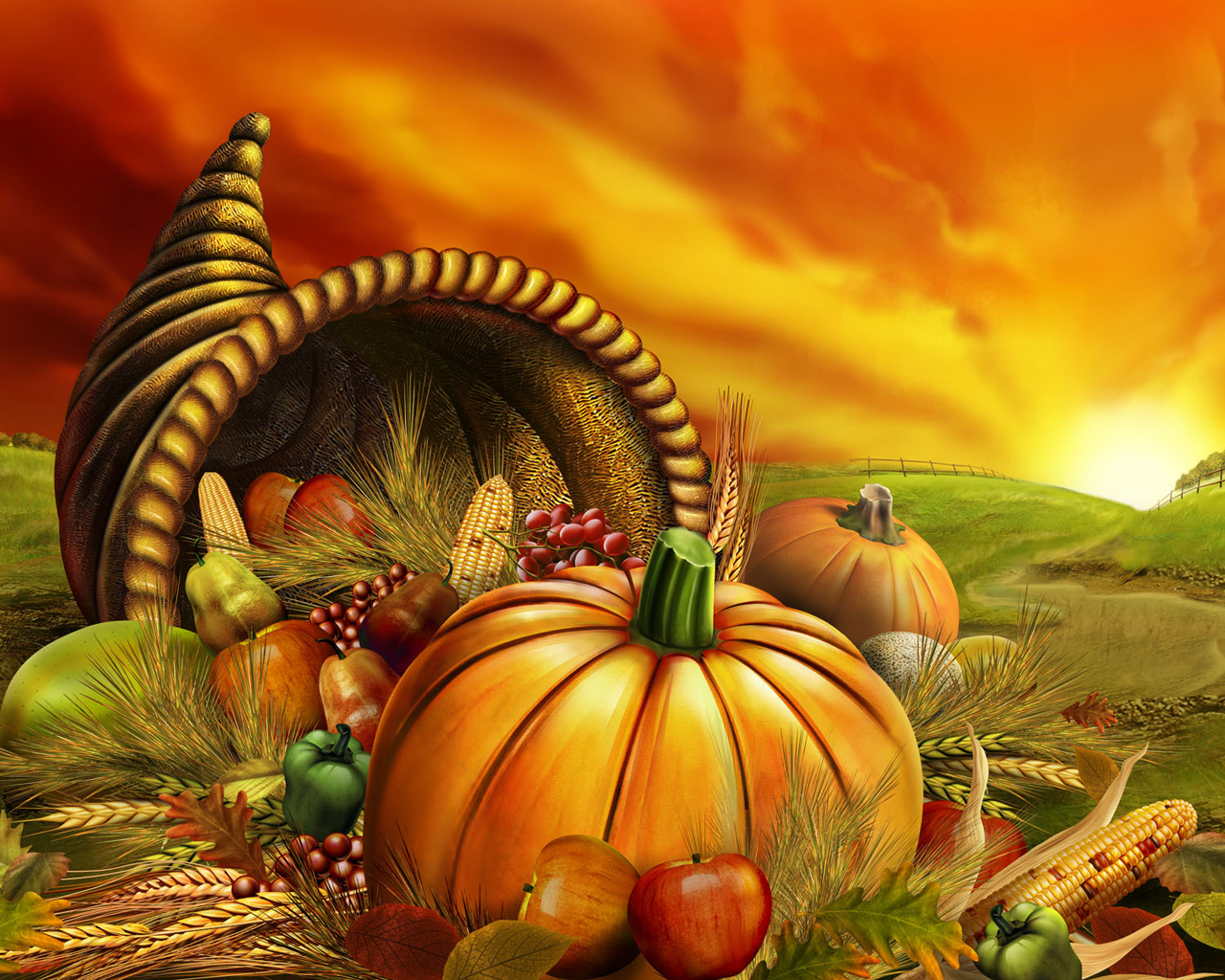 Thanksgiving Pumpkin Pictures Wallpapers