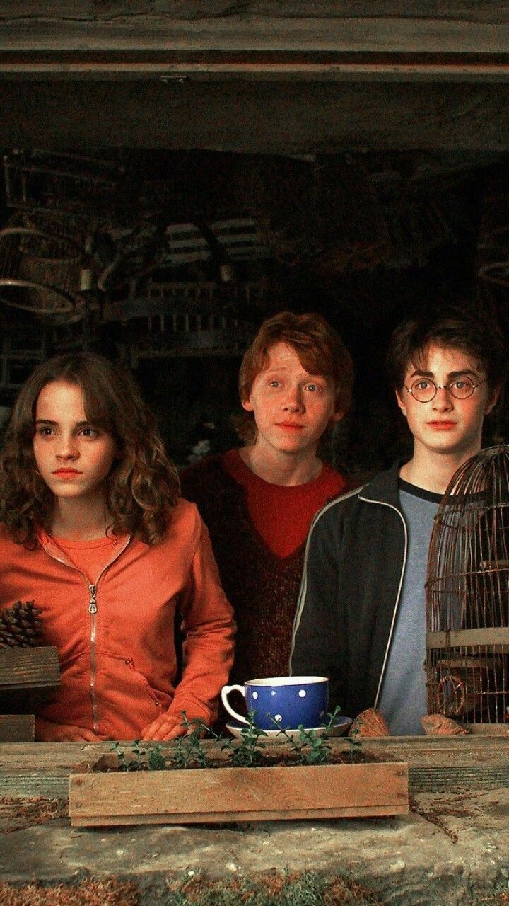 The Golden Trio Wallpapers