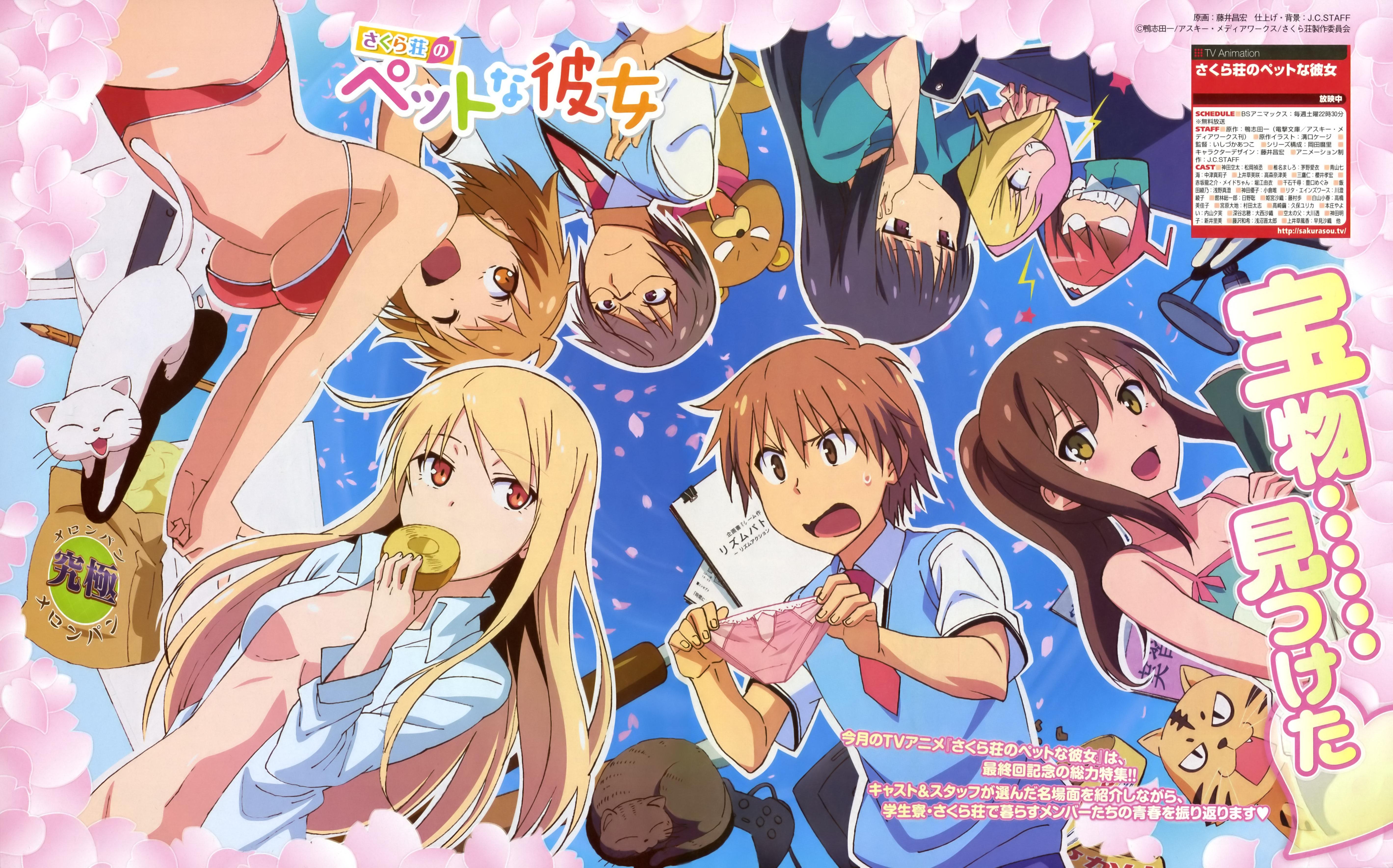 The Pet Girl Of Sakurasou Wallpapers